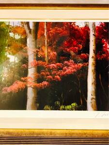 展示品 入手困難 深見東州 善福寺公園の紅葉 限定500 58/500 オリジナルスクリーン 版画 絵画 額装