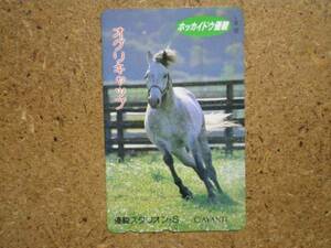 I434*o Gris cap horse racing telephone card 