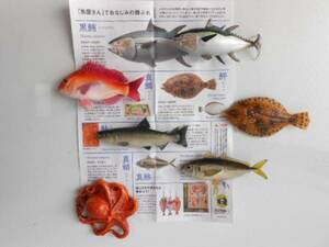 ♯Jui16HzカプセルQマグネット水族館日本の食用魚全6種マダイ鮭:♂KAIYODO海洋堂 ♀300円〓014041_c