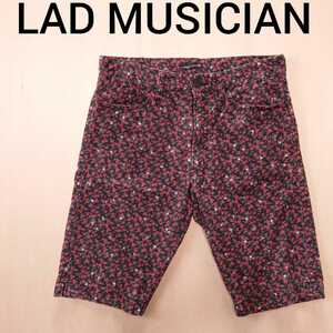 LAD MUSICIAN