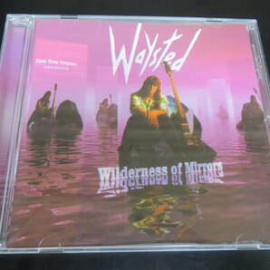 Waysted - Wilderness of Mirrors 輸入盤CD（イギリス ZCRCD28, 2000）