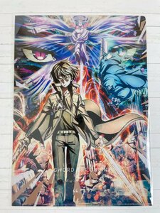 ☆ ソードアート・オンライン SAO展 THE ART OF SWORD ART ONLINE 上野の森美術館 PKGジャケットクリアファイル 41 ☆