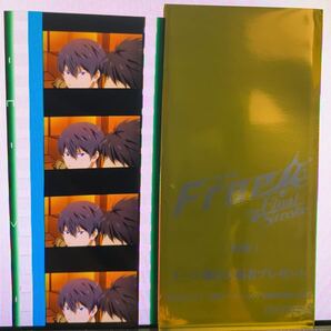 劇場版 Free! 特典 コマフィルム 1枚