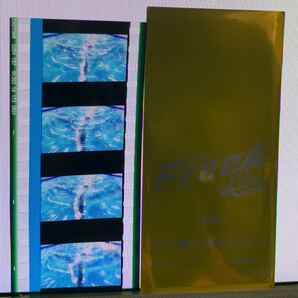 劇場版 Free! 特典 コマフィルム 1枚