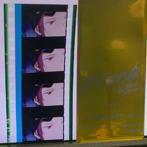 劇場版 Free! 特典 コマフィルム 1枚
