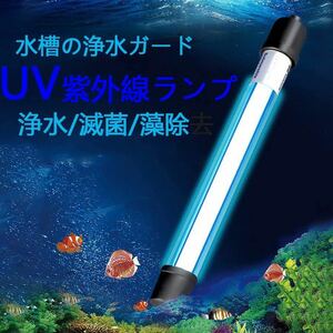 UV lamp 