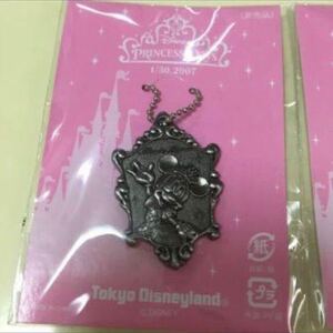 非売品 ディズニーランド TDL 2007年 限定品 プリンセスデイズ ミニー　