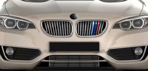 スポーティ♪ BMW Mカラー グリルフィン F23 220i ラグジュアリー カブリオレ 2シリーズ 11フィン