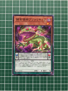 ★遊戯王 DIMENSION FORCE #DIFO-JP018 捕食植物ブフォリキュラ ノーマル「N」★