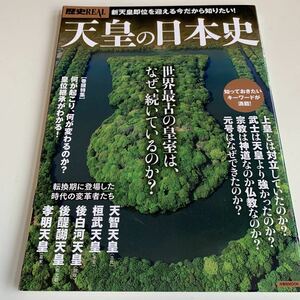 Y27.291 天皇の日本史 歴史REAL 洋泉社MOOK 古代 平安時代 院政 鎌倉時代 幕末 幕府 征夷大将軍 天智天皇 桓武天皇 後白河天皇 後醍醐天皇