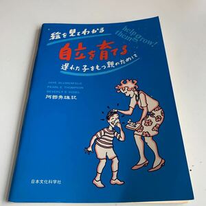 Y27.295 絵を見てわかる 自立を育てる 遅れた子を待つ親のために 阿部秀雄 日本文化科学者 1981年 自立支援 社会生活 身辺の自立 家庭生活