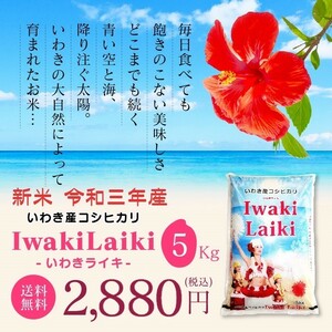 お米 米 Iwaki Laiki コシヒカリ 5kg 送料無料 特A 精米 令和三年産 一等米