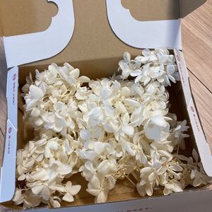 プリザーブドフラワー アジサイ