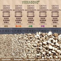 【送無】VIIIXAGONO 超硬質焼成培養土 細粒 3L 1mm-2mm サボテン 多肉植物 エケベリア ハオルチア等に使用頂ける国産高品質焼成培養土_画像5