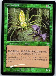 FOIL/梢の蜘蛛/Canopy Spider/7版/日本語版/MTG１枚 [FC]