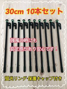 ★限定1点★新品★スチールペグ 30cm 10本 ペグ テント タープ 黒 スチール