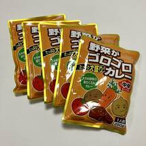 大盛り 野菜がゴロゴロカレー 250g×5食 レトルトカレー 中辛 ビーフカレー 保存食 レトルト食品　長期保存 備蓄 夏休み_画像1