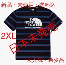 THE NORTH FACE MULTI COLOR 半袖 ラウンドTシャツ　2XL_画像1