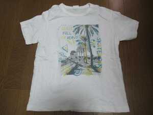 BREEZE　１４０　Tシャツ　犬　☆１１７☆　ブルドッグ