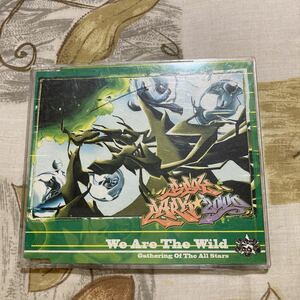 We Are The Wild／Gathering Of The All Stars