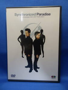 美品 DVD Synchronized Paradise Synchronized DNA LIVE TOUR 2005 神保彰 則竹裕之 CASIOPEA T-SQUARE 珍しい 送料込み