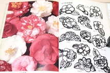 ツバキとサザンカ/中村恒雄/声を大にして江戸時代から伝わる400余種のツバキの美しい花の愛好をこの本を通して強調したいのです/図版豊富_画像4