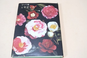  camellia .sa The nka/ Nakamura . male / voice . large . do Edo era from transmitted 400 over kind. camellia. beautiful flower. love .. that book@. passing a little over style want to do therefore ./ map version abundance 