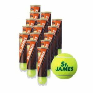 【新品】DUNLOP ダンロップ St.JAMES セントジェームス 15缶/60球 テニスボール