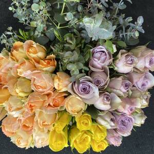 バラ (切り花 ・生花) ユーカリおまかせミックス 30㎝ SMサイズ 50本(薔薇40本・ユーカリ10本) 産地直送!鮮度抜群!