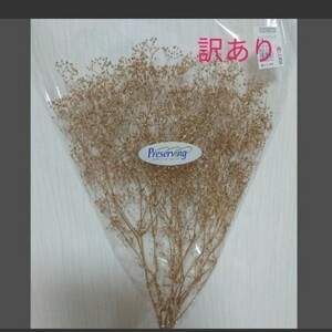 訳あり かすみ草 カスミ 大地農園 ハーバリウム プリザーブドフラワードライフラワー花材リーススワッグはなかんむり