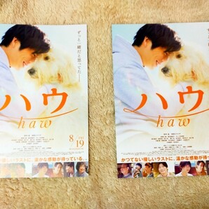 映画チラシ ハウ 田中圭 フライヤー2枚セット