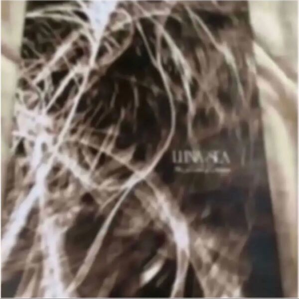 LUNA SEA ルナシー ツアーパンフレット1994