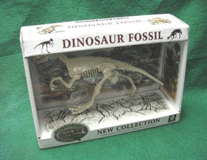 （DINOSAUR FOSSILダイナソー）恐竜骨格フィギュア　ヴェロキラプトル・ステゴザウルス送料全国一律普通郵便２００円