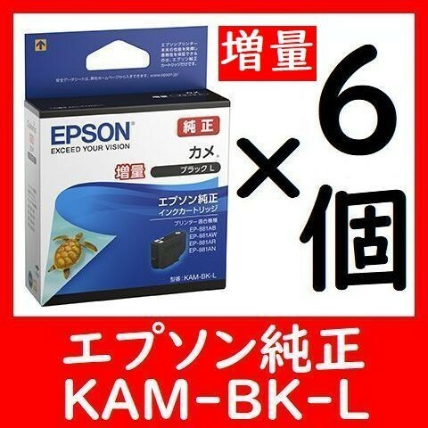 6個セット KAM-BK-L 純正 増量タイプ ブラック カメ 推奨使用期限2年以上 KAM BK L