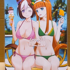 A4イラスト ラミネート 海外製 ウマ娘 スペシャルウィーク サイレンススズカ 水着