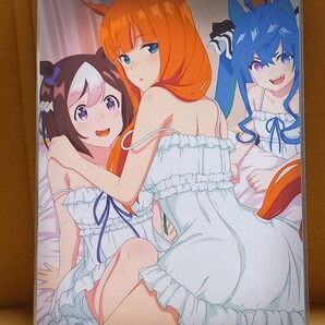 A4イラスト ラミネート 海外製 ウマ娘 スペシャルウィーク サイレンススズカ ツインターボ パジャマパーティー