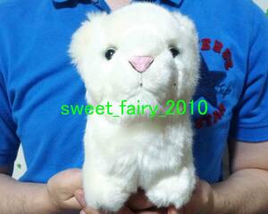 CUTE * pretty white lion soft toy / baby / cute / nature Angel Safari / pretty / outside fixed form postage 300 jpy!