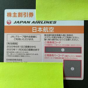 JAL 日本航空　株主優待券　2023年11月末まで