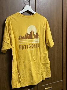 Patagoniaパタゴニア　Tシャツ