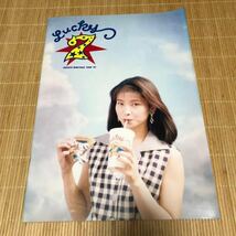森高千里 lucky7 コンサートパンフレット CHISATO MORITAKA TOUR’93_画像1
