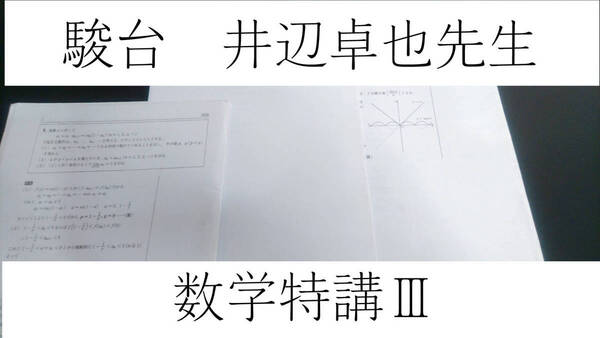 駿台　井辺卓也先生　18年夏期　数学特講Ⅲ　講義問題解説プリント・追加問題解説プリント　駿台　鉄緑会　河合塾　東進　東大京大　Z会