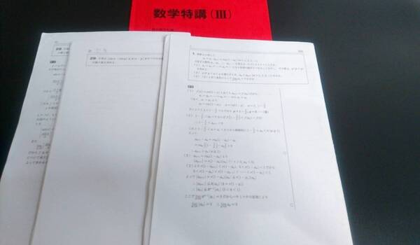 駿台　井辺卓也先生　18年夏期　数学特講Ⅲ　講義問題解説プリント・追加問題解説プリント　テキスト　駿台　鉄緑会　河合塾　東進　東大