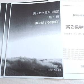 鉄緑会 柳沼遼哉先生 22年度対応 18年度 高2数学内部B 夏期 テキスト・講義冊子 東大 医学部 駿台 河合塾 東進