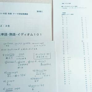 河合塾　成川博康先生　18年度　秋期　テーマ別短期講座　英単語・熟語・イディオム101　講義プリント　駿台　鉄緑会　河合塾　東進　Z会