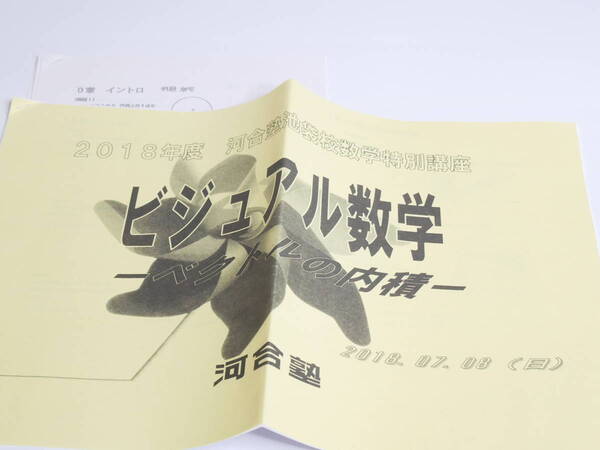 河合塾 18年度 特別講座 ビジュアル数学 ベクトルの内積 テキスト・解説