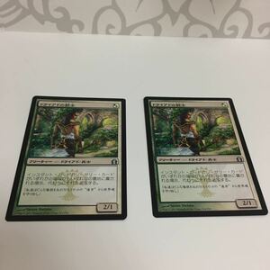 [ＭＴＧ][番号３０７７] [プレイド扱い]　ドライアドの闘士　日ｘ２