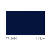 タチカワ ファーステージ ロールスクリーン オフホワイト 幅110×高さ200cm プルコード式 TR-1030 ネイビー_画像2