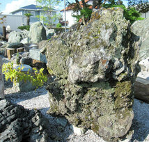 北海道産 幸太郎石 庭石 高さ約1m33cm 幅約1m10cm 銘石 景石 古潭石 和風 庭園 幸太郎 天然石 053_画像4