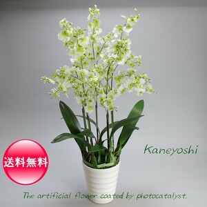  праздник искусственный цветок цветок подарок фотокаталитический on siju-m[5шт.@.] белый зеленый 