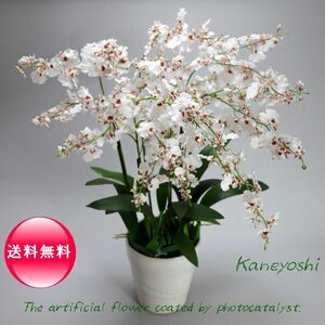  праздник искусственный цветок цветок подарок фотокаталитический on siju-m[6шт.@.] белый красный 